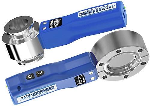 IVP BUTTERFLY COMMANDVALVES Cover Image