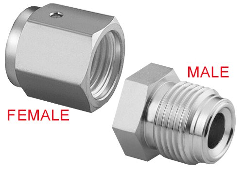 VCR MALE & FEMALE NUTS Cover Image