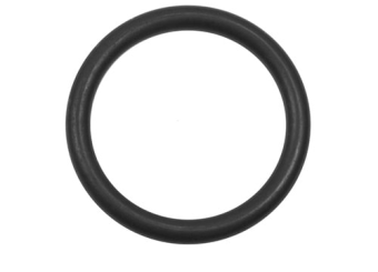 CHEMRAZ CENTERING RING O-RING Cover Image